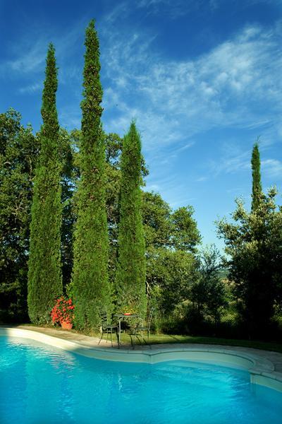 Castelmuzio Agriturismo La Casa Nuovaヴィラ エクステリア 写真